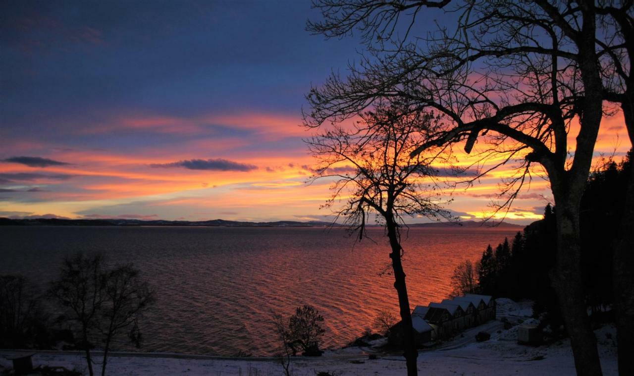 Hjellup Fjordbo Villa Leksvik Ngoại thất bức ảnh